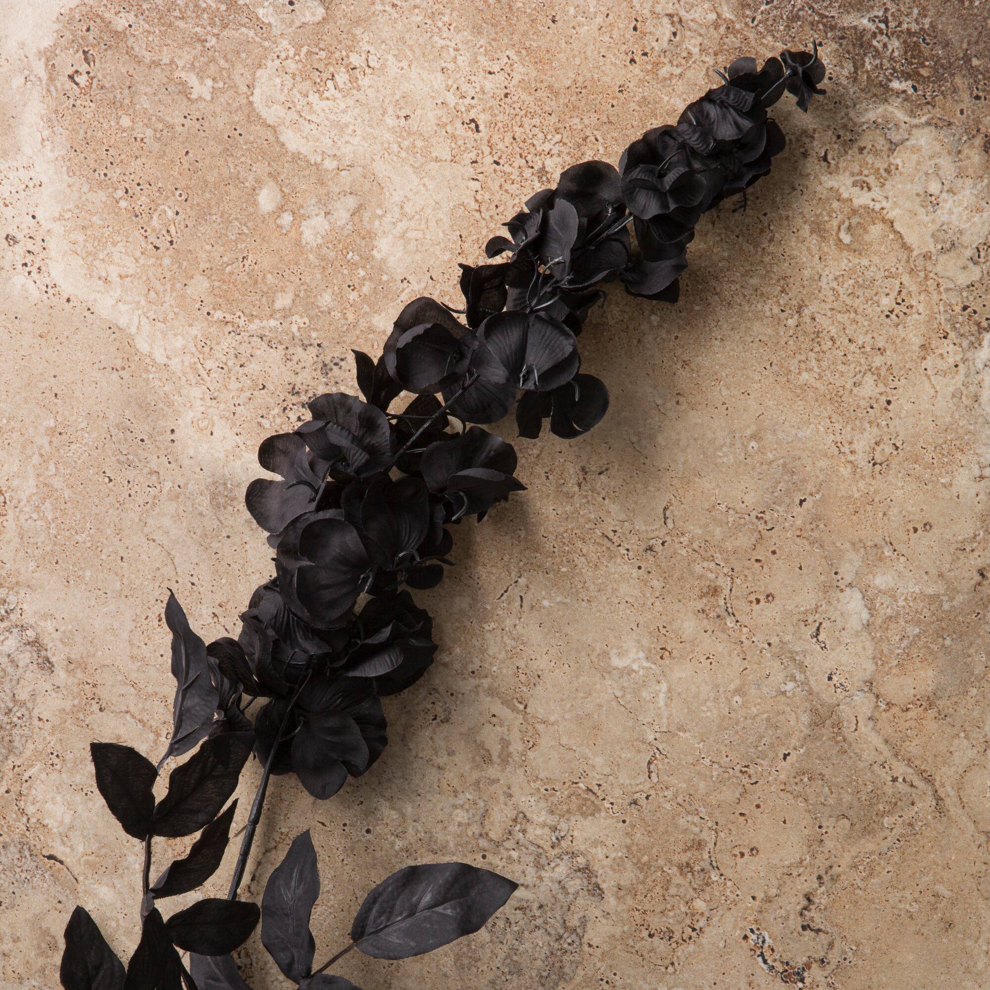 12 Pack: Black Wisteria Stem by Ashland®